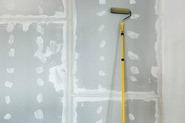Best Emergency Mold Remediation  in Toledo, OR