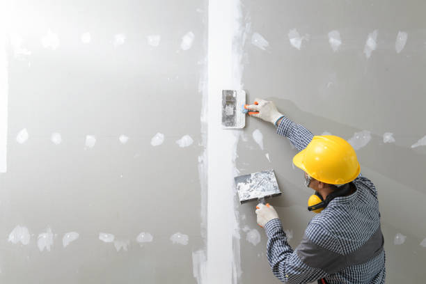 Best Mold Prevention Services  in Toledo, OR