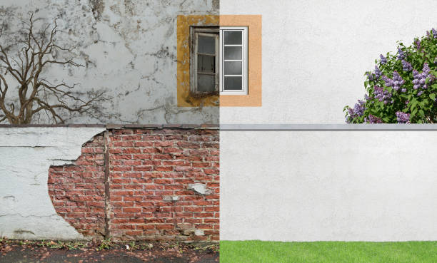 Best Black Mold Removal  in Toledo, OR